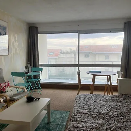 Apartamento Studio Lumineux Pres Du Phare Avec Terrasse Et Wifi A - Fr-1-239-866 *